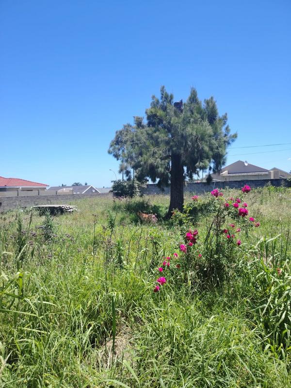 5 Bedroom Property for Sale in Amalinda Eastern Cape